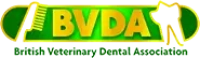 BVDA annual congress 2026 one day Saturday essential - on demand